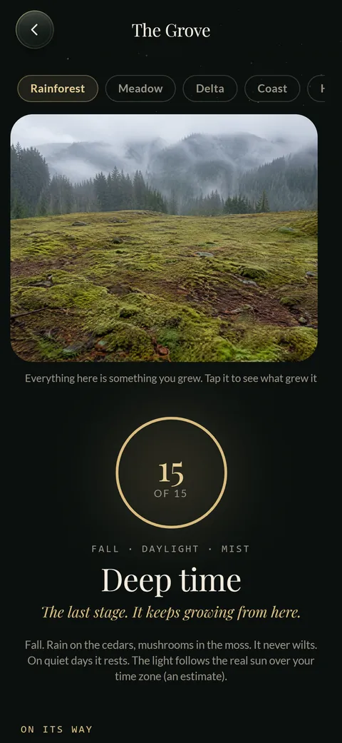 The Grove: a Pacific Northwest forest grown from real moments.