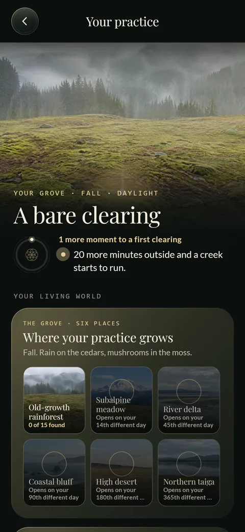 Your practice: your Grove and the six places it can grow.